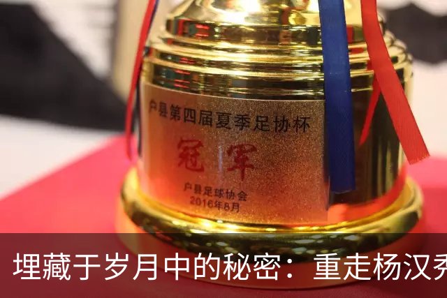 埋藏于岁月中的秘密：重走杨汉秀的革命人生